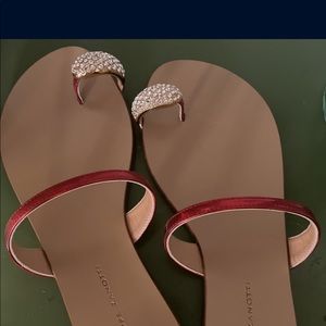 NEW Giuseppe Zanotti Ring Toe sandal size 8.5US
